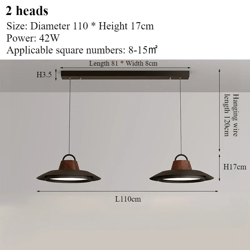 Modern nordic creative chandelier for interior decoration with led lights - Black 2 Heads-40cm / Cool Light