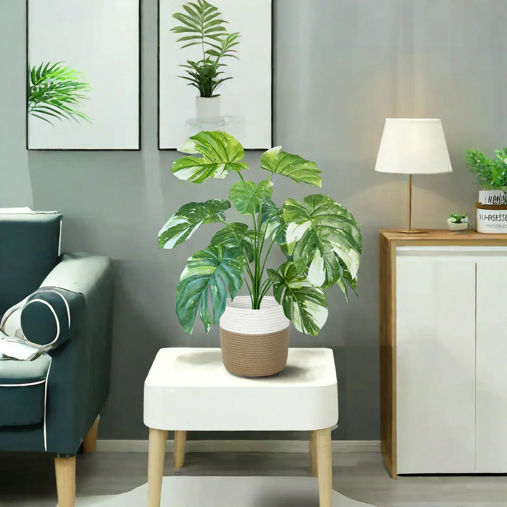 Plant artificial monstera decoration interior realistic and elegant - view 3