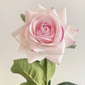 Milk Pink
