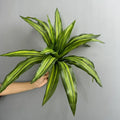 Artificial agave 15 leaves floral decoration for interior - 20 feuilles jaunes 1