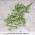 Bamboo Leaf