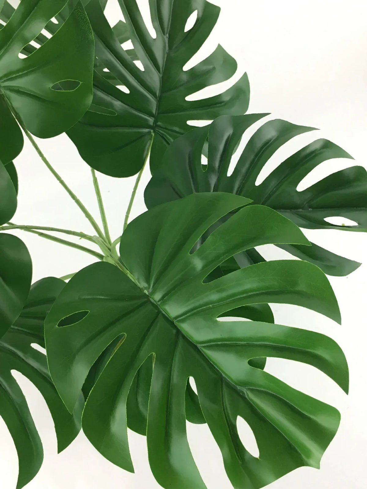 Artificial banana plants and tropical decorative foliage - view 8