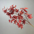 Dark Red