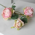 Pink Type A