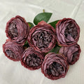 Dark Purple