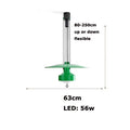 63cm green