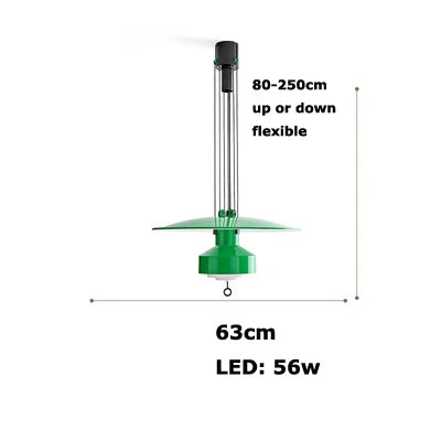 Minimalist Flexible LED Aluminum Chandelier, Advanced-Tech Design - Warm light / 63cm green