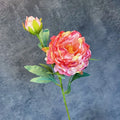 Red Pink