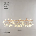 L100cm C