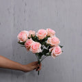 Light Pink