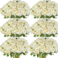 Silk Champagne 50 Pieces