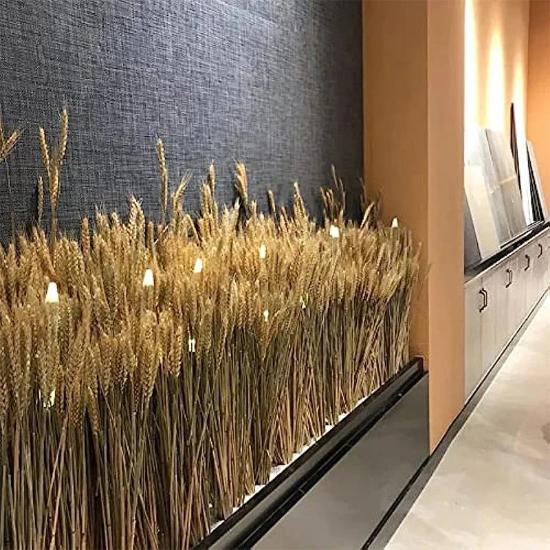 Natural dried wheat stems for festive decoration and bouquet - view 2