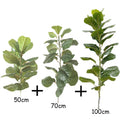 50cm and 70cm and 100cm
