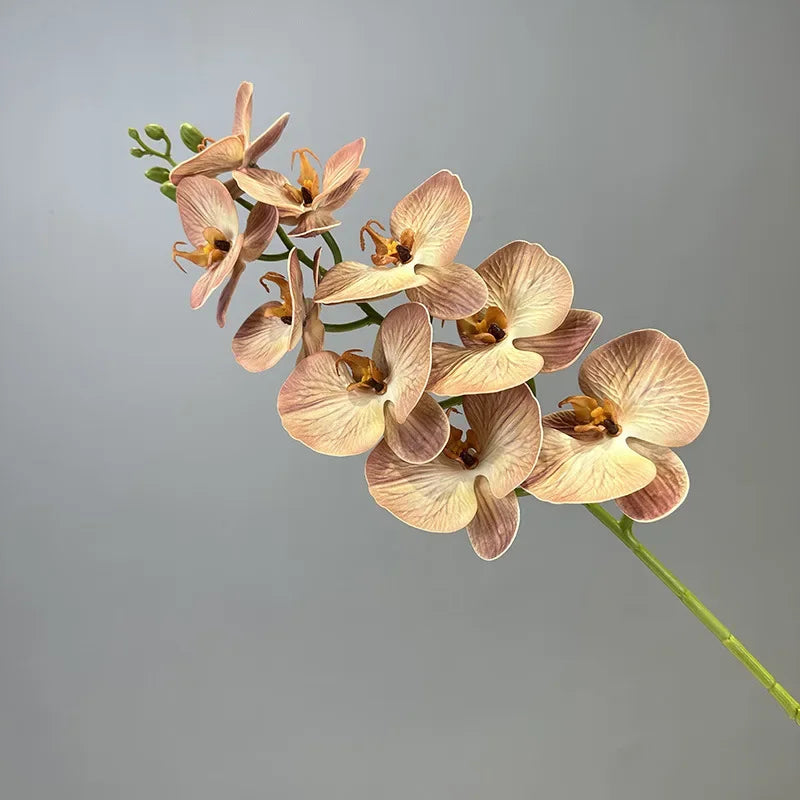 Artificial flowers orchid butterfly in cotton and silicone decorative - Milk Tea Color