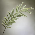 1pc Grey Green