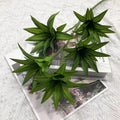 82cm-green5 heads