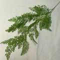 Small Cypress Leaf