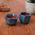 Ceramic bonsai mini pots for handcrafted plants