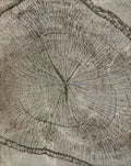 Abstract Tree Rings Canvas Poster for Decoration, Design 8 - 60X80cm Unframed / 8