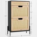 Natural Rattan Storage Cabinet with 2 Flip Door 1 Drawer Freestanding Entrance Shoe Cabinet, Modern Narrow Entry Way Cabinet - Black Wood