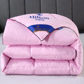 Noble100 % Goose Down Duvet Filled Quilt, Single, Double Size Comforter, Thick Blanket, Monochromatic, Perfect Comfort, Winter - Pink / 220x240cm 3000G