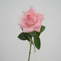 Dark Pink