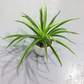Artificial plants decorative chlorophytum for indoors without pot - 30 feuilles vertes