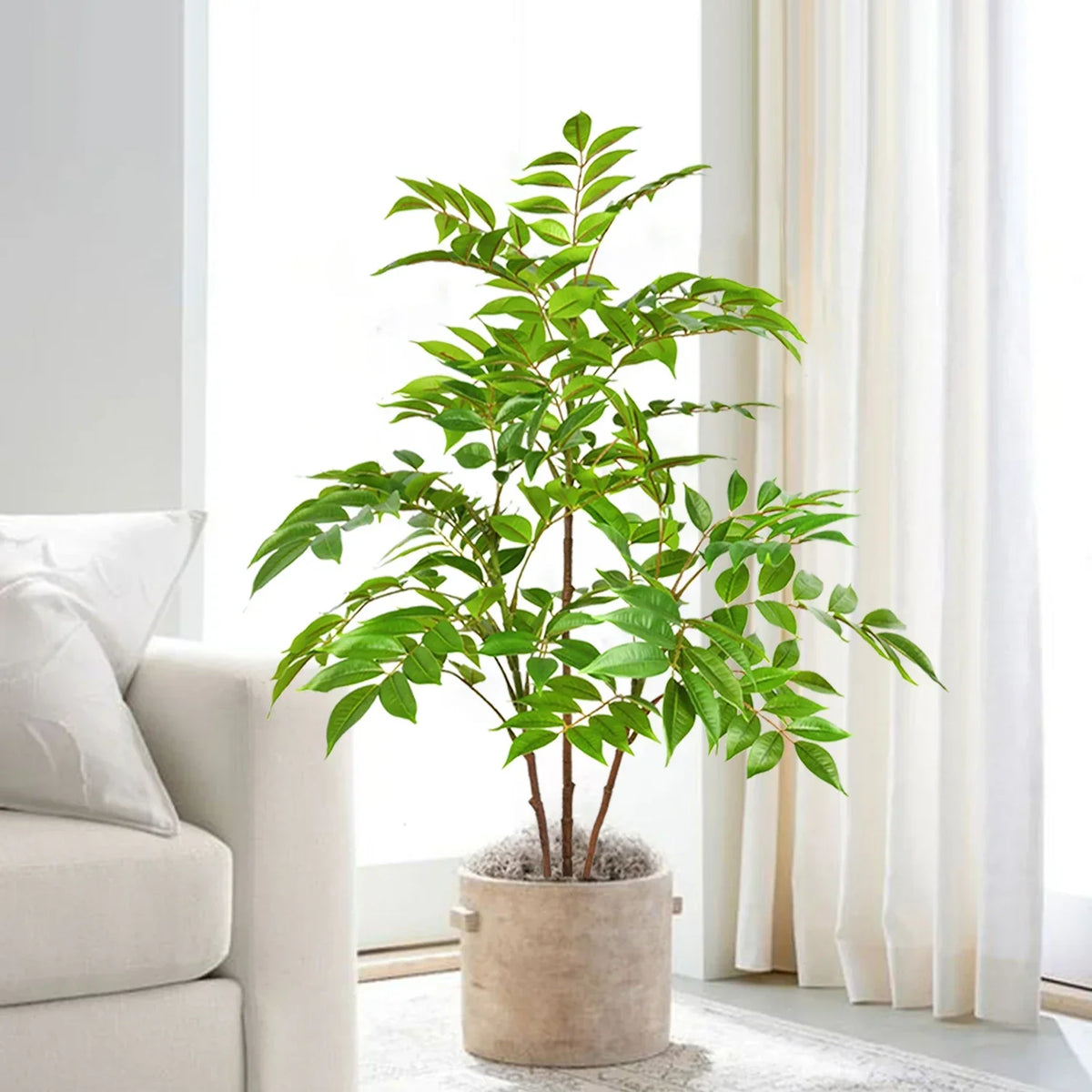 Artificial plastic ficus plants for interior decoration