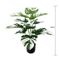 60cm No Pot White