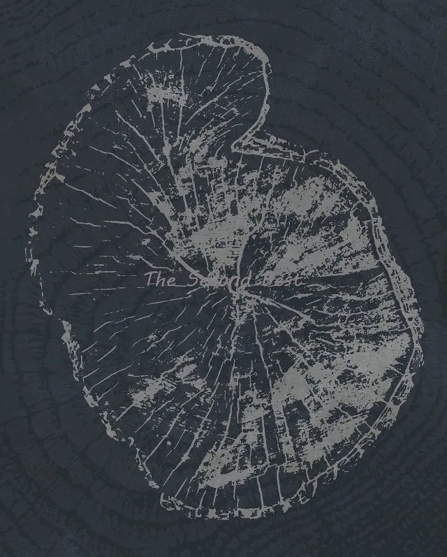 Abstract art on tree rings for decoration - 60X80cm Unframed / 22
