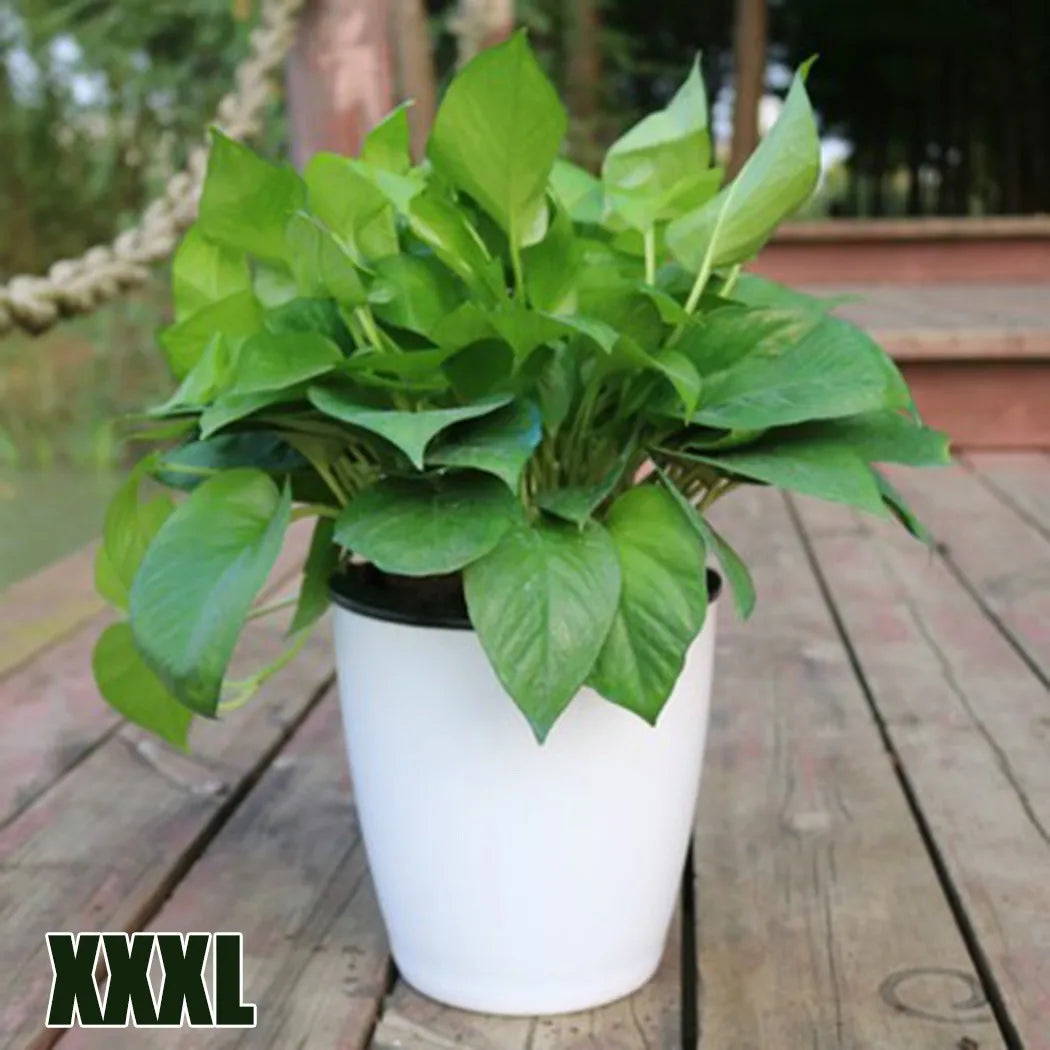 Automatic flower pot in plastic porcelain effect - XXXL