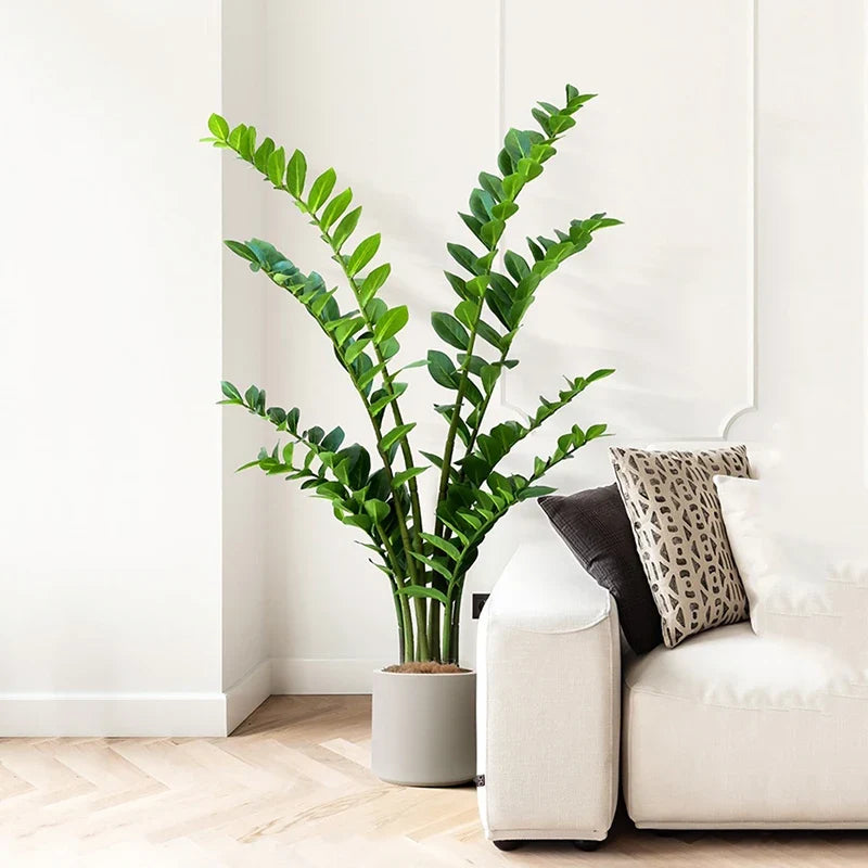 Artificial plants ficus and zamioculcas for interior decoration - view 3