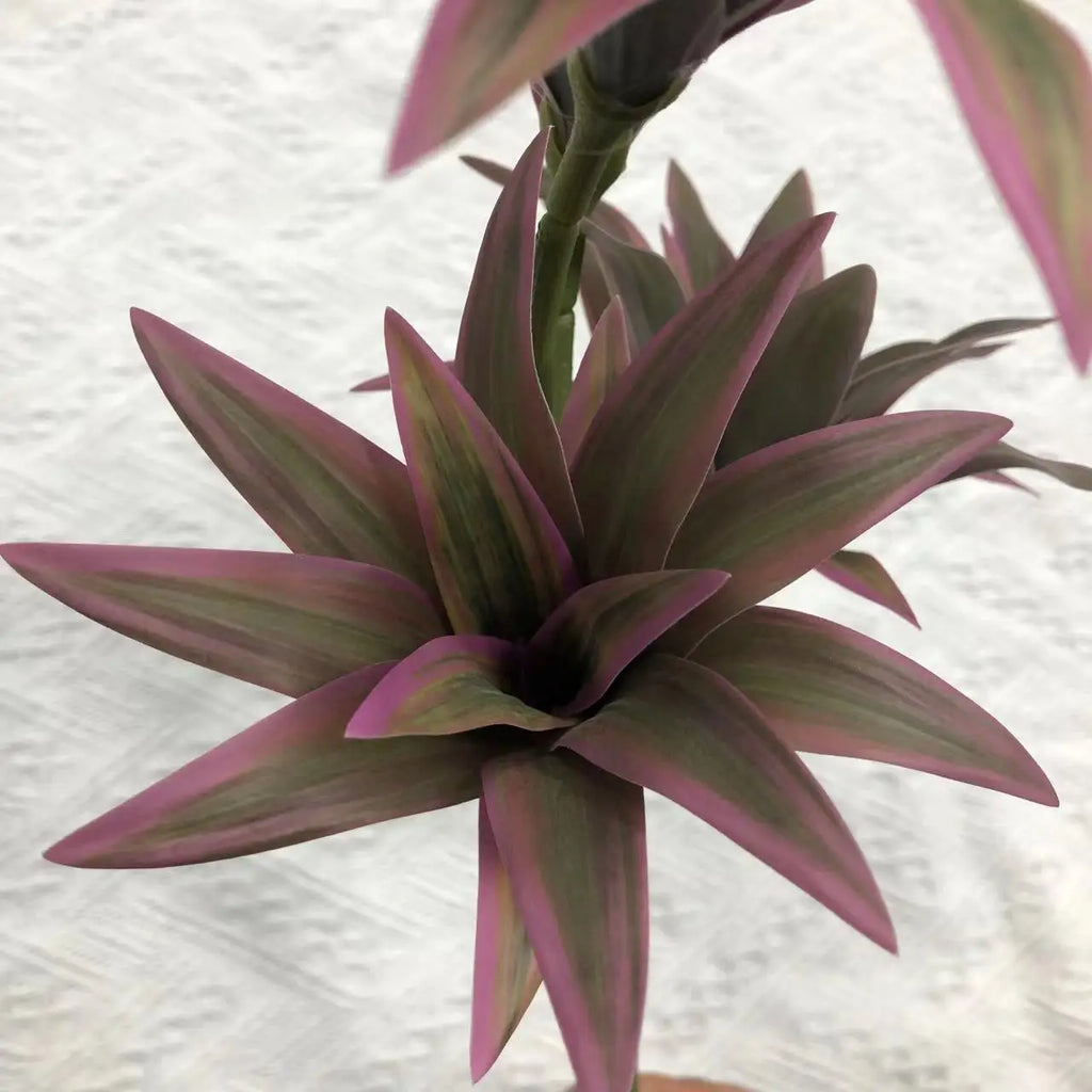 Tropical pot plant with palm and decorative bamboo - view 6