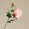Coral Powder