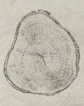 Abstract Tree Rings Canvas Wall Art, Design 23 - 60X80cm Unframed / 23