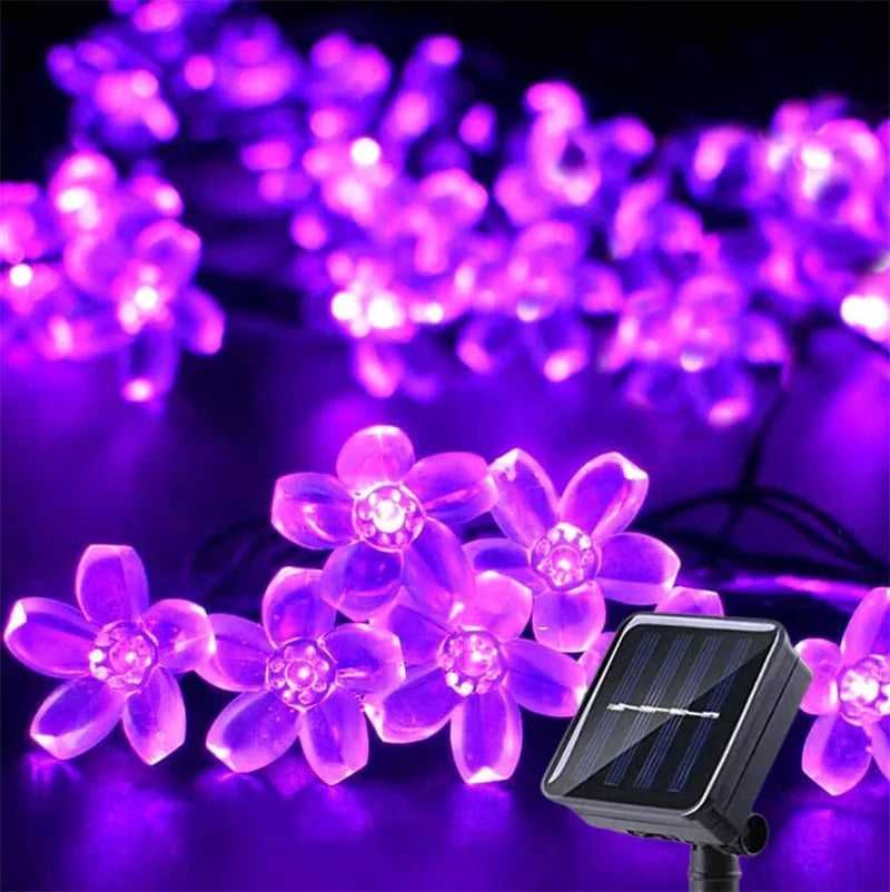Sunlight garland for garden outdoor decoration fairytale - Cherry purple / 6.5m 30leds 2 modes