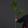 Large artificial plants magnolia for interior garden decoration - One