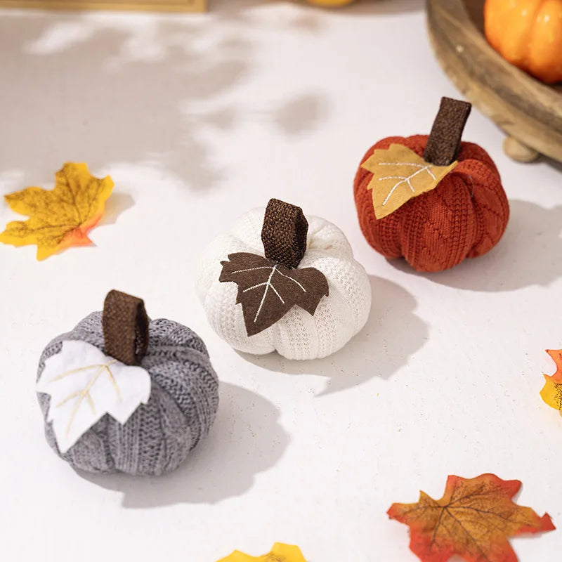 Decorative pumpkins for autumn thanksgiving and halloween - view 4