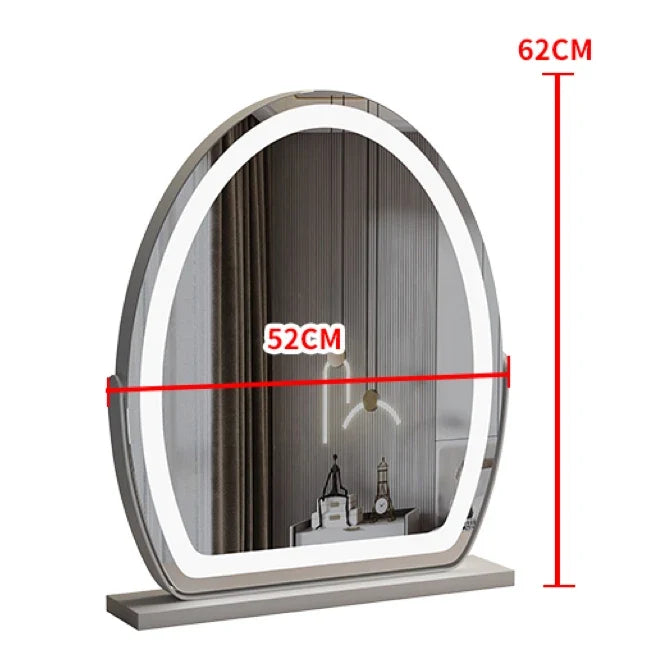 Lighted courtesy mirror with touch sensor and dimmable lighting - Silver (52x62cm)