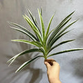 Artificial spider grass plants floral decoration wedding - White / 6 Pieces
