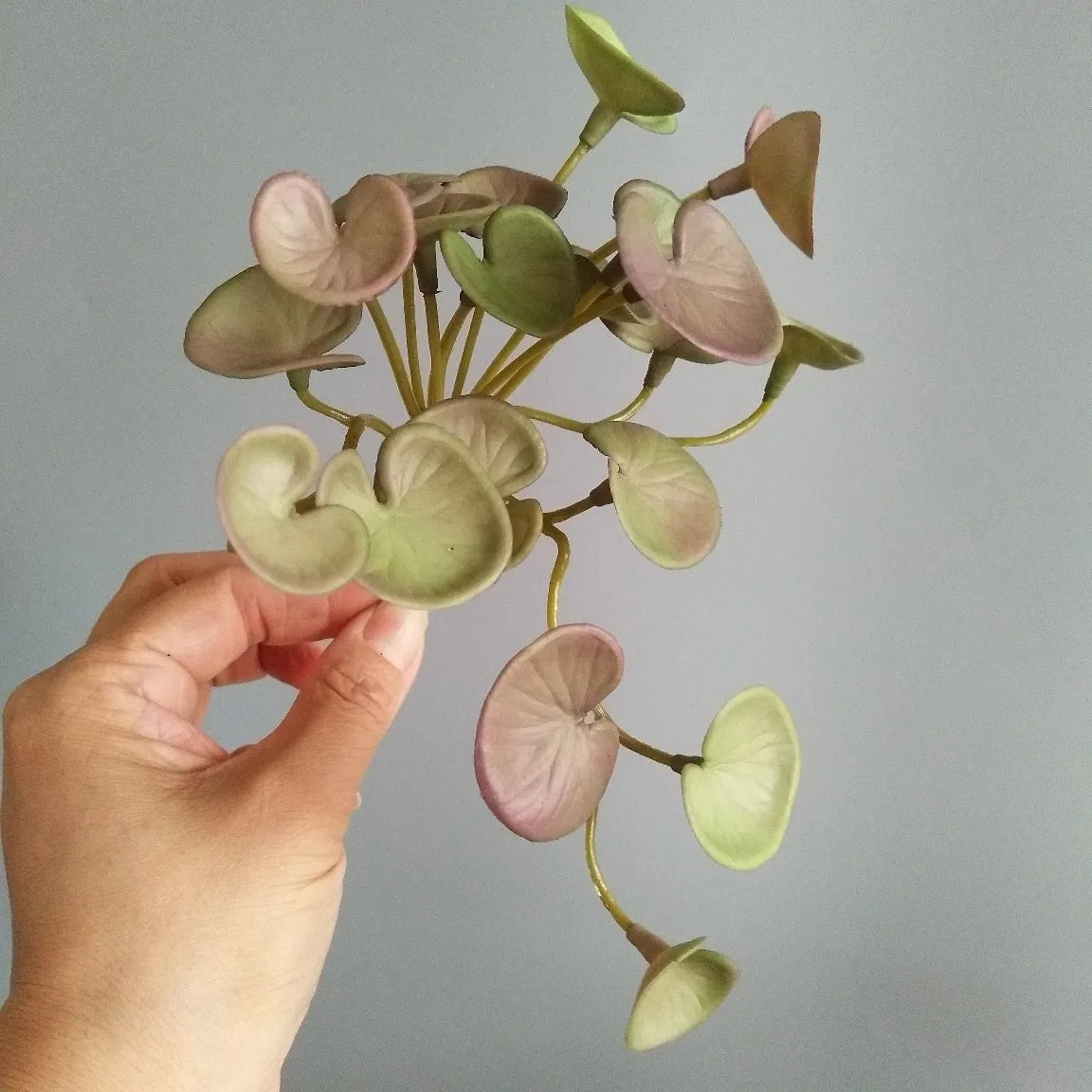 Artificial Tropical Foliage Decorative Bouquet in Plastic Grass - Fen Tongqian