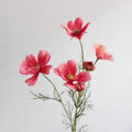 Light red