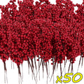 50 succursales