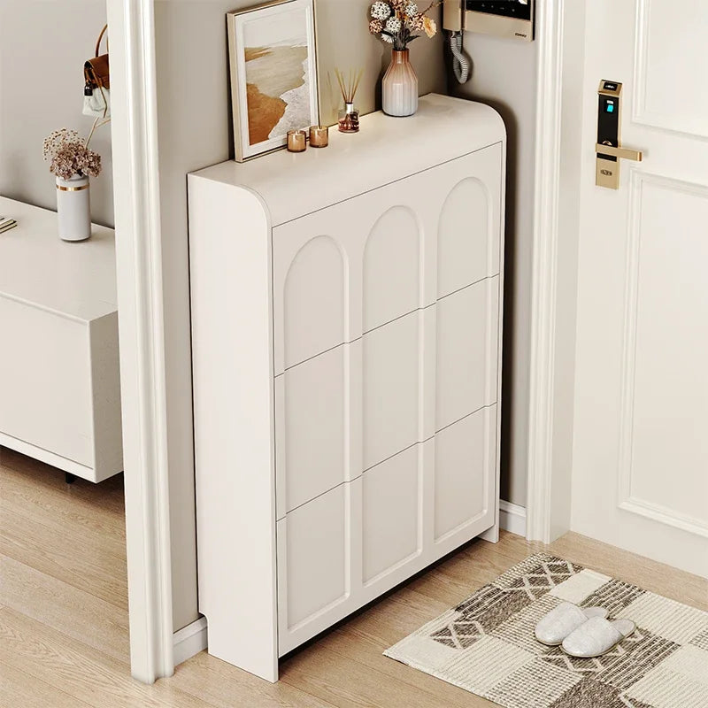 Shoe organizer bag tote for home and storage - view 3