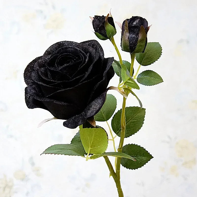 Simulation of velvet rose wines for elegant decoration - Black