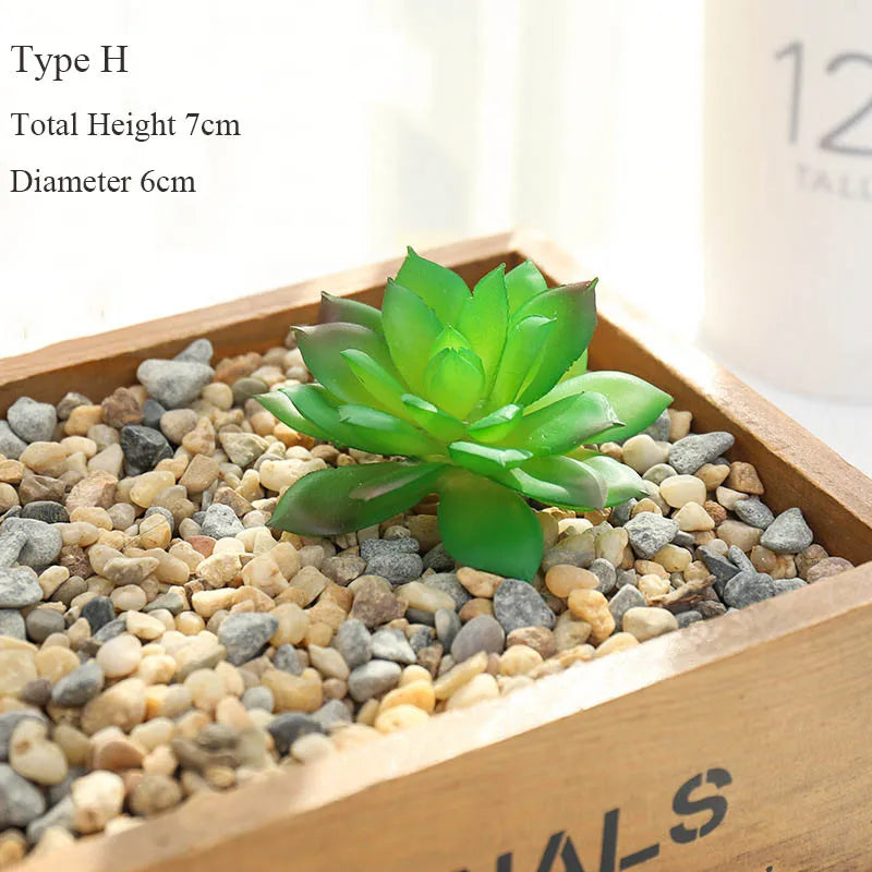 Artificial succulent decorative plants for a natural interior - H