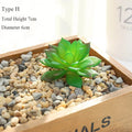 Artificial succulent decorative plants for a natural interior - H