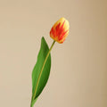 Yellow Red