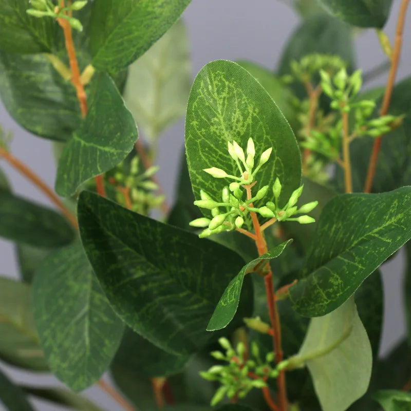 Decorative eucalyptus leaves with fruit for indoor use - view 3