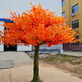 Red Maple 08